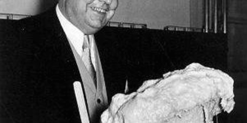 Contract Foam for Commercial and Industrial Use